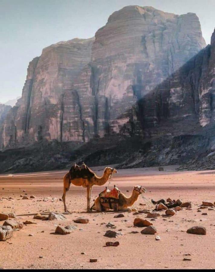 Wadi Rum Local Camp Exterior photo